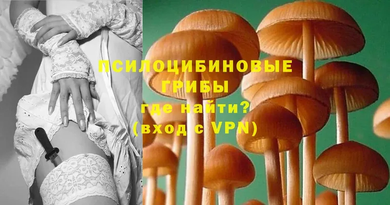 Псилоцибиновые грибы мицелий  Коркино 